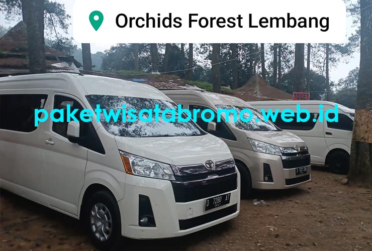 Sewa Hiace Premio Luxury Jakarta Paling Murah Harga Selalu Update Terbaru